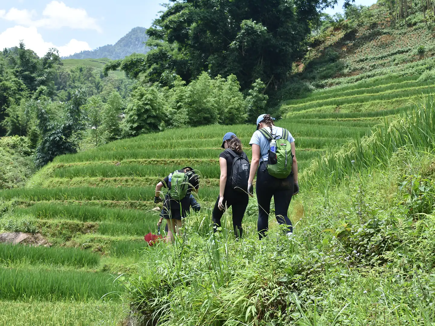 Sapa Walking Day Tour